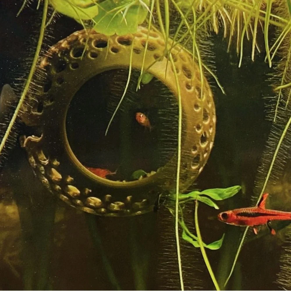 The Original Cave Lounge - Betta Fish Swim-Through Hideout